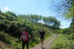 Gibbet Hill 2010