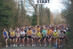 MySport Enniscorthy 10k 2010