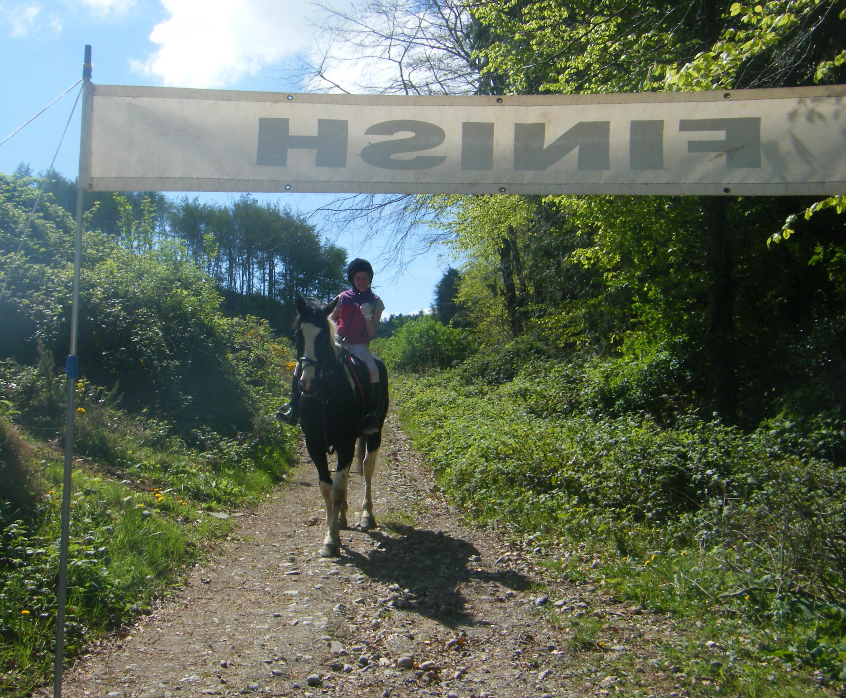G Horse